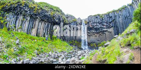 Svartifoss, conosciuta per le sue distinte colonne di basalto, scende lungo l'aspra scogliera circondata da una vegetazione lussureggiante nel Parco Nazionale di Skaftafell, Islanda. Foto Stock