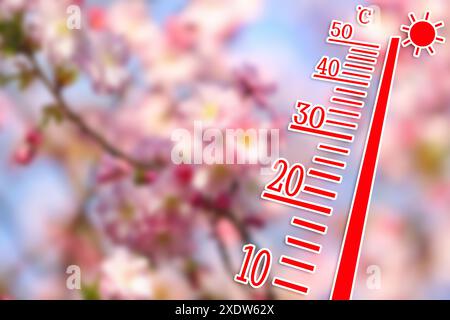 Rami in fiore sfocati e termometro disegnato che mostra temperature elevate. Clima estivo caldo Foto Stock