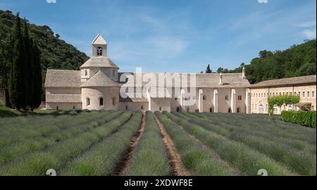 Gordes, Francia. Abbazia di Sénanque in Provenza, fotografata con campi di lavanda in primo piano. Foto Stock