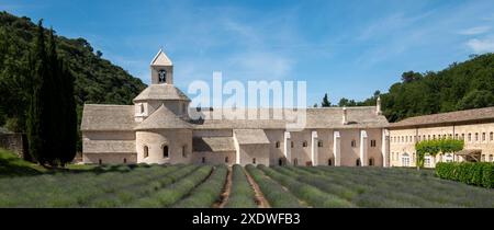 Gordes, Francia. Abbazia di Sénanque in Provenza, fotografata con campi di lavanda in primo piano. Foto Stock