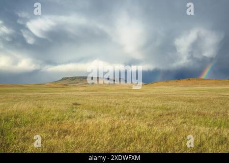 square butte e un arcobaleno in una tempesta estiva sulla prateria vicino a ulm, montana Foto Stock