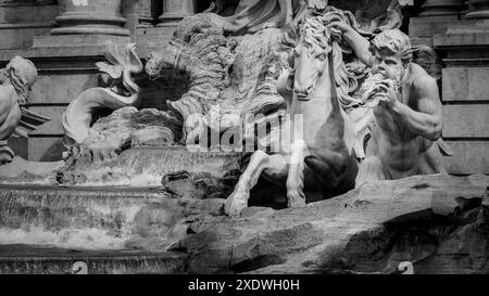 Dettaglio monocromatico della fontana di Trevi a Roma Foto Stock