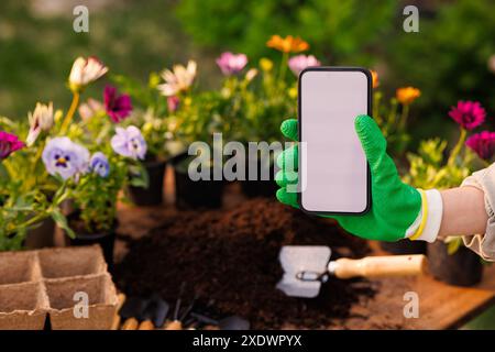 giardiniere che tiene il telefono in giardino con fiori, negozio di fiori online, prendersi cura delle piante di fiori Foto Stock