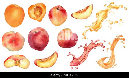 Set di acquerelli di varie pesche fresche e albicocche isolate su bianco. Spruzzi di succo di frutta rosa e d'arancia. Illustrazione con intere e tagliate a fette Foto Stock