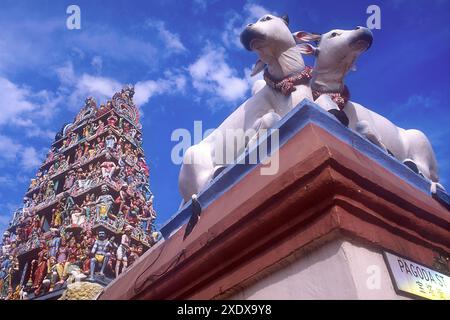 Torre Gopuram con mucche e divinità sgargianti, presa nel 2003, tempio Sri Mariamman, Pagoda Street, Little India, Singapore Foto Stock