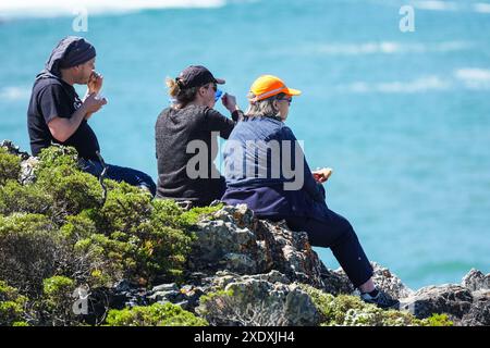 gruppo di persone, con un picnic sulla cima di una scogliera che si affaccia sul mare o sull'oceano, in vacanza, vacanza, stile di vita, amicizia, tempo Foto Stock