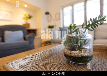 Piante succulente nel terrario in vetro su vassoio in vimini in un accogliente soggiorno, spazio per le copie Foto Stock