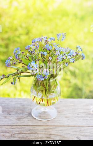 Un bouquet di nots dimenticati Foto Stock