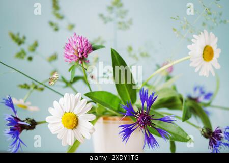 Fiori selvatici in azzurro chiaro Foto Stock