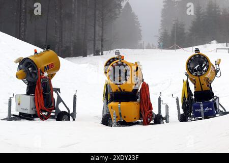 Para World Cup Oberried 2018 - Biathlon distanza media Foto Stock