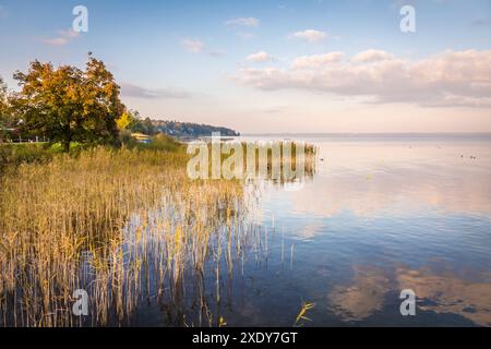 Geografia / viaggi, Germania, Baviera, atmosfera serale sulle rive del Chiemsee vicino a Gstadt sul Chiemsee, ULTERIORI DIRITTI-CLEARANCE-INFO-NON-DISPONIBILI Foto Stock