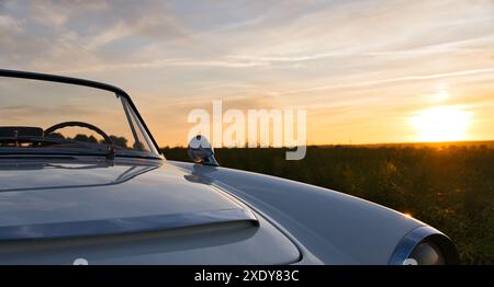 Fiat 1500 auto d'epoca in un bellissimo tramonto vicino a un campo di mais Foto Stock