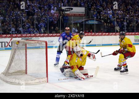 Sptg. 3a DEL 18-19: SERC Wildwings vs. Duesseldorf DEG Foto Stock