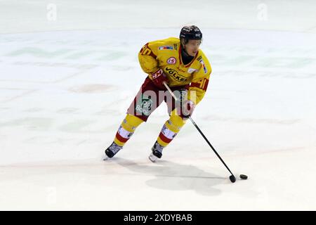 Sptg. 3a DEL 18-19: SERC Wildwings vs. Duesseldorf DEG Foto Stock