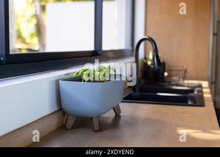 Cucina moderna con piante in vaso sul piano di appoggio vicino al lavello e alla finestra, spazio per le copie Foto Stock