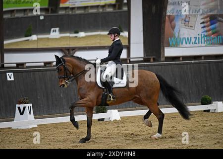 S Dressage Riding a Darmstadt Kranichstein Winter Tour i Foto Stock