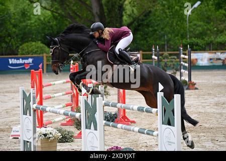 Kranichsteiner Pfingstturnier - gara di salto con salto Foto Stock