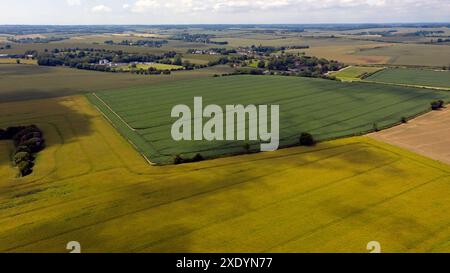 Vista aerea sulla Coldblow Farm, verso Ripple, Foto Stock