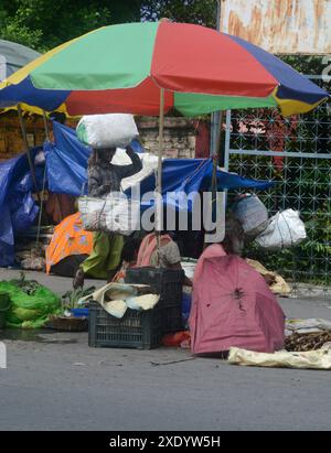 Siliguri, Bengala Occidentale, India. 25 giugno 2024. Un venditore indiano di prodotti stradali attende i clienti presso il suo stand mentre vende verdure a Siliguri (immagine di credito: © Diptendu Dutta/ZUMA Press Wire) SOLO PER USO EDITORIALE! Non per USO commerciale! Foto Stock