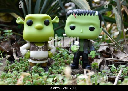 Funko Pop action figure di personaggi immaginari orco Shrek e il mostro di Frankenstein. Foresta verde fantasia, muschio, giardino, piante, erba. Foto Stock