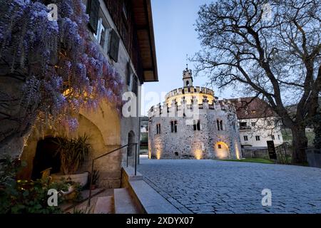 Abbazia di Novacella: Il romanico Castello dell'Angelo. Varna, alto Adige, Italia. Foto Stock