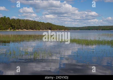 La riva del lago Ladoga sull'isola di Koyonsaari, Carelia, Russia Foto Stock