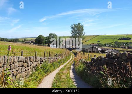 Stretta strada di campagna che scende da una collina nella panoramica campagna dello yorkshire occidentale vicino al villaggio di colden a calderdale, nello yorkshire occidentale Foto Stock