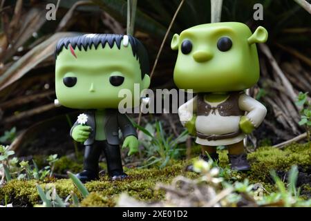 Funko Pop action figure di personaggi immaginari il mostro e l'orco di Frankenstein Shrek. Foresta verde fantasia, muschio, giardino, piante, erba. Foto Stock