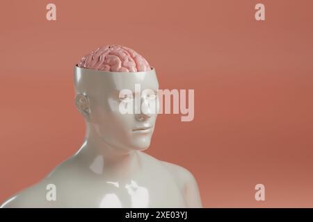 Scultura di un uomo con la testa aperta e il cervello esposto con spazio di copia. illustrazione 3d. Foto Stock