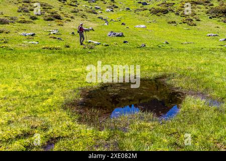 Fai un'escursione attraverso un altopiano sull'Almenweg attraverso Salzburgerland, Großarl, Salisburgo, Austria Foto Stock