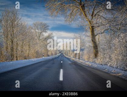 Vicolo in mattinata nevosa. Due file di grandi alberi sono ricoperti da spessa neve bianca lungo il luminoso Foto Stock