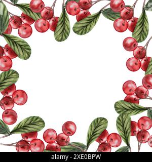 Telaio per acquerello al mirtillo rosso. Ramoscello con foglie verdi e cotoneaster disegna a mano su sfondo bianco isolato. Clip art botanica realistica. Per il Foto Stock