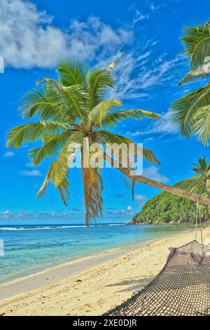 Spiaggia di Anse Parnel, acque turchesi del cielo blu, bassa marea, giornata di sole, spiaggia di sabbia bianca, palme da cocco e amaca, Mahe, Seychelles Foto Stock