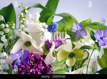 Primo piano con splendidi fiori primaverili. Fiori di Dogwood, gigli della valle, lilla, periwinkle, foglie verdi. Natura morta, foto di basso livello. Foto Stock