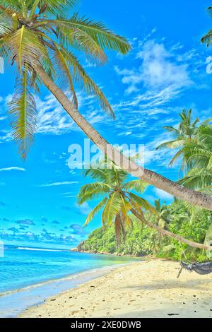 Spiaggia di Anse Parnel, cielo blu acqua turchese, bassa marea giornata di sole, spiaggia di sabbia bianca, palme da cocco, Mahe, Seychelles Foto Stock