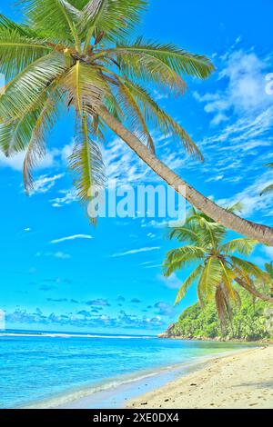 Spiaggia di Anse Parnel, cielo blu acqua turchese, bassa marea giornata di sole, spiaggia di sabbia bianca, palme da cocco, Mahe, Seychelles Foto Stock