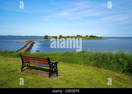 Panchina sulla riva del lago con vista su Rough Island situata a Strangford Lough, Contea di Down, Irlanda del Nord Foto Stock