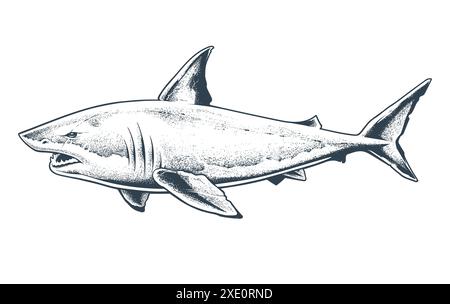 Grande White Shark Vector isolato Illustrazione Vettoriale