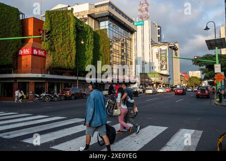 Persone che attraversano la strada in una delle strade principali nel centro di San Jose, Costa, Rica Foto Stock