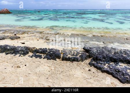 Scogli appuntiti sulla costa della spiaggia di Anse Union. Paesaggio costiero dell'isola di la Digue, Seychelles Foto Stock