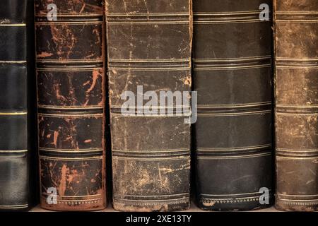 Antichi libri sullo scaffale Foto Stock