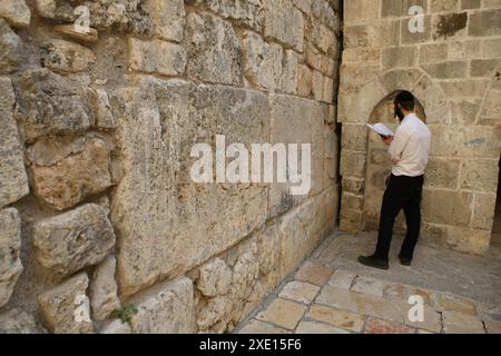 Il giovane ultra-ortodosso prega da un libro di preghiere presso il piccolo muro occidentale o muro del pianto, una sezione del muro di sostegno occidentale al Tempio Mt. Foto Stock