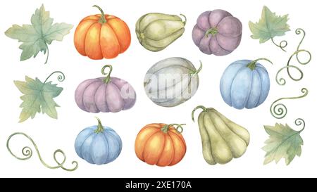 Illustrazione arancione, blu, grigio, viola, zucche verdi e foglie acquerello. Set di verdure autunnali. Squash Clipart per un arredamento moderno stagionale, biglietto del Ringraziamento e invito, merch festivo Foto Stock