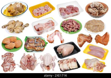 Set di pezzi di pollo in diverse varianti Foto Stock