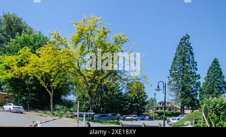 Fort Langley Waterfront sulle rive del fiume Fraser, Langley, Canada, BC Foto Stock