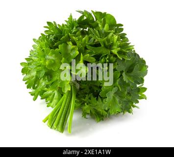 Mazzo di prezzemolo fresco verde isolato su sfondo bianco. Foto Stock