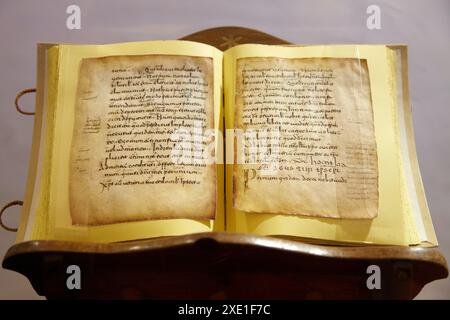 "Glosas Emilianenses' primi esempi di scrivere in spagnolo e basco, monastero di Yuso, San Millan de la Cogolla, La Rioja, Spagna Foto Stock