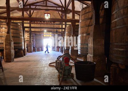 Lopez de Heredia Viña Tondonia, Rioja vino cantina, Barrio de la Estacion, Haro, La Rioja, Spagna, Europa Foto Stock