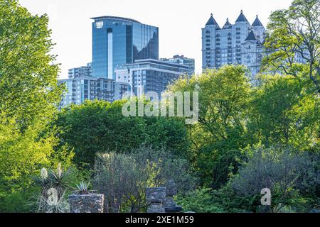 Vista dello skyline di Midtown Atlanta dall'Atlanta Botanical Garden's Skyline Garden ad Atlanta, Georgia. (USA) Foto Stock