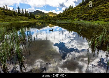 Riflesso in un lago di montagna. Fai un'escursione sull'Almenweg attraverso Salzburgerland, Großarl, Salisburgo, Austria Foto Stock